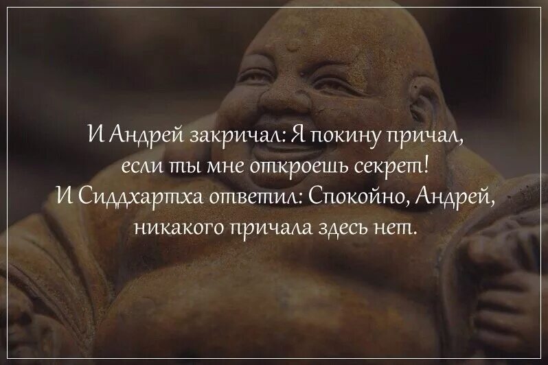 Я закричу в ответ. Цитаты о просветлении. Дзен буддизм юмор. Буддизм приколы. Афоризмы просветленных.