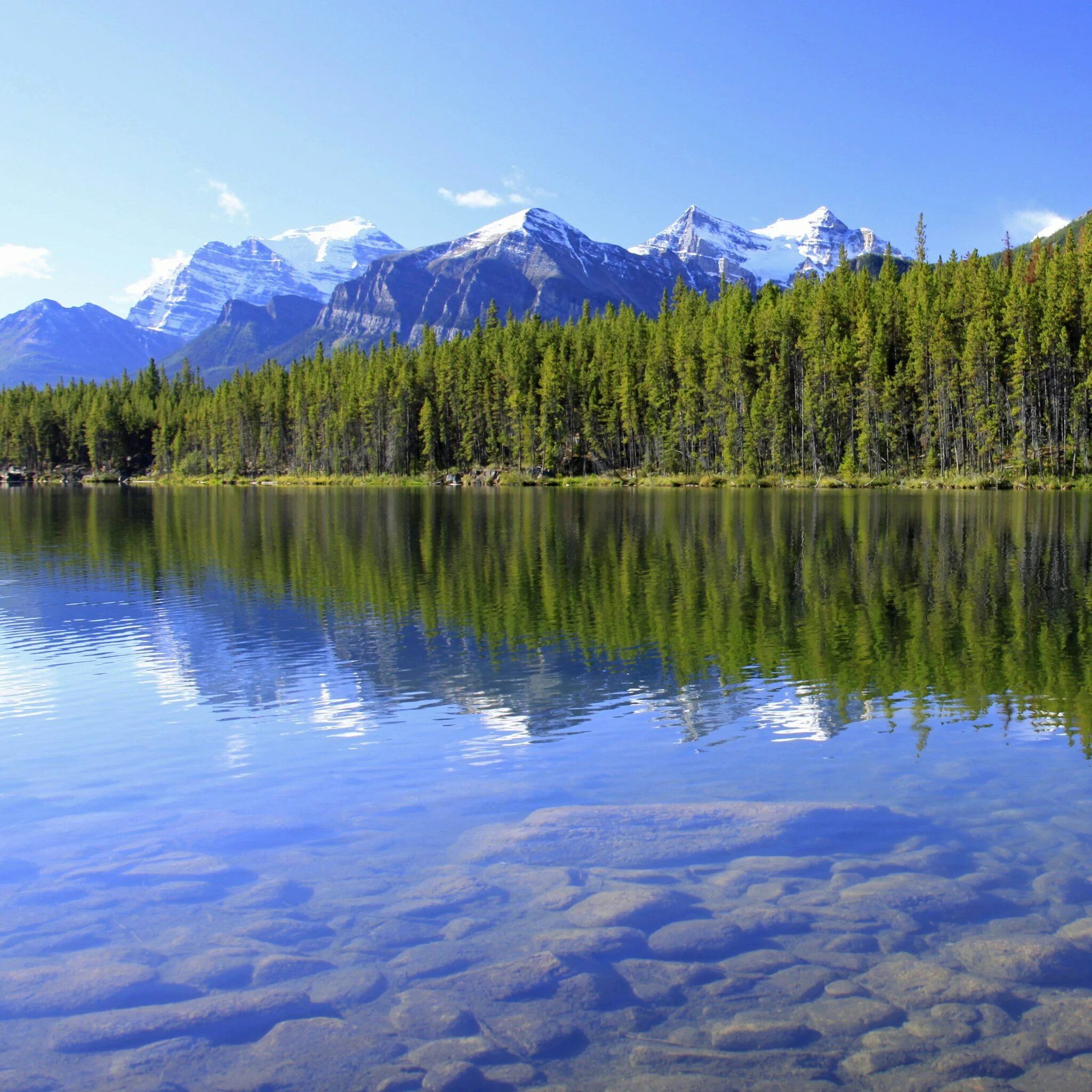 Lake 3. Lake 3. Lake 3. Lake 3. Озеро третье титовское.