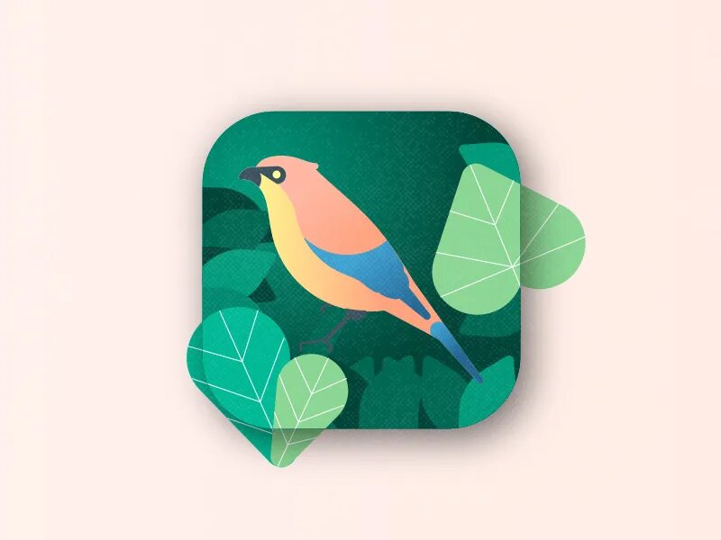 Forest приложение. Приложения Bird. Forest app icon. Иконка приложения клиника Снегири.