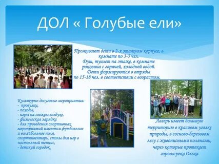 Дол что это означает