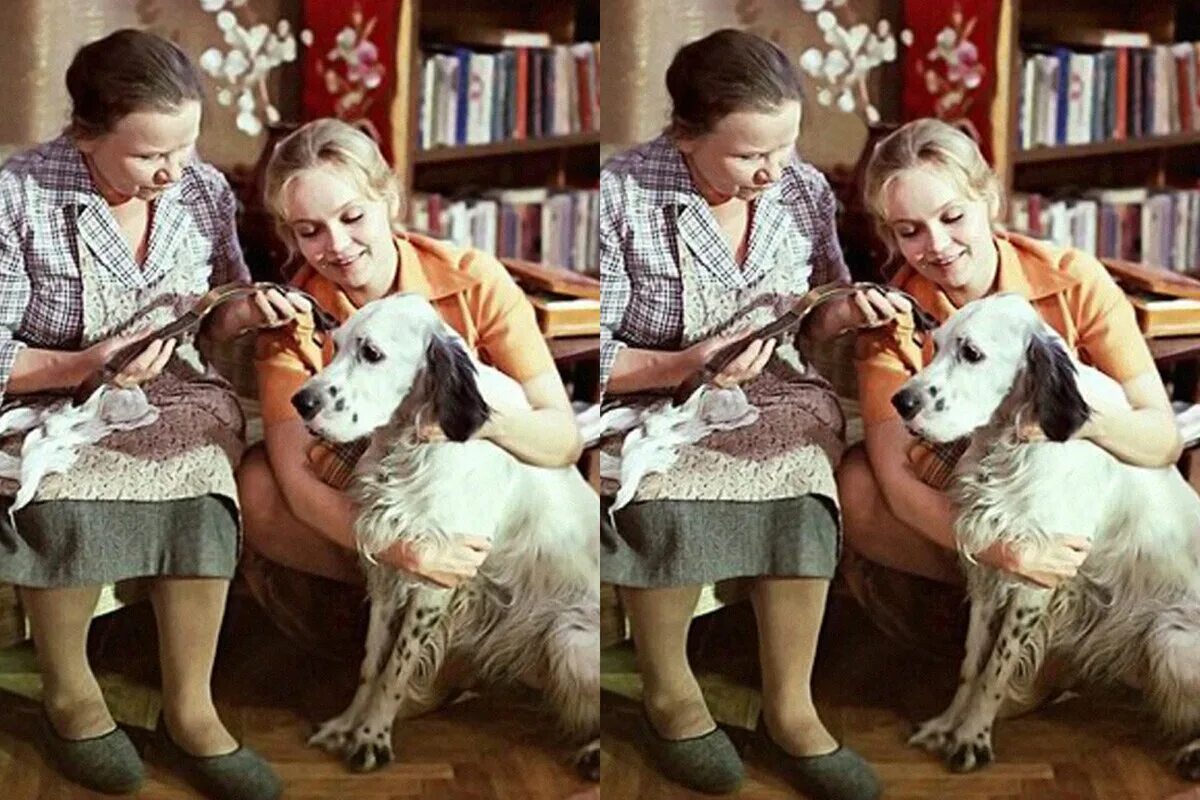 Бим сериал собака. Белый бим черное ухо фильм 1977. Бим сериал 2021 2022. Куда делся рыжий из бима. Мартин вайнек комиссар рекс.