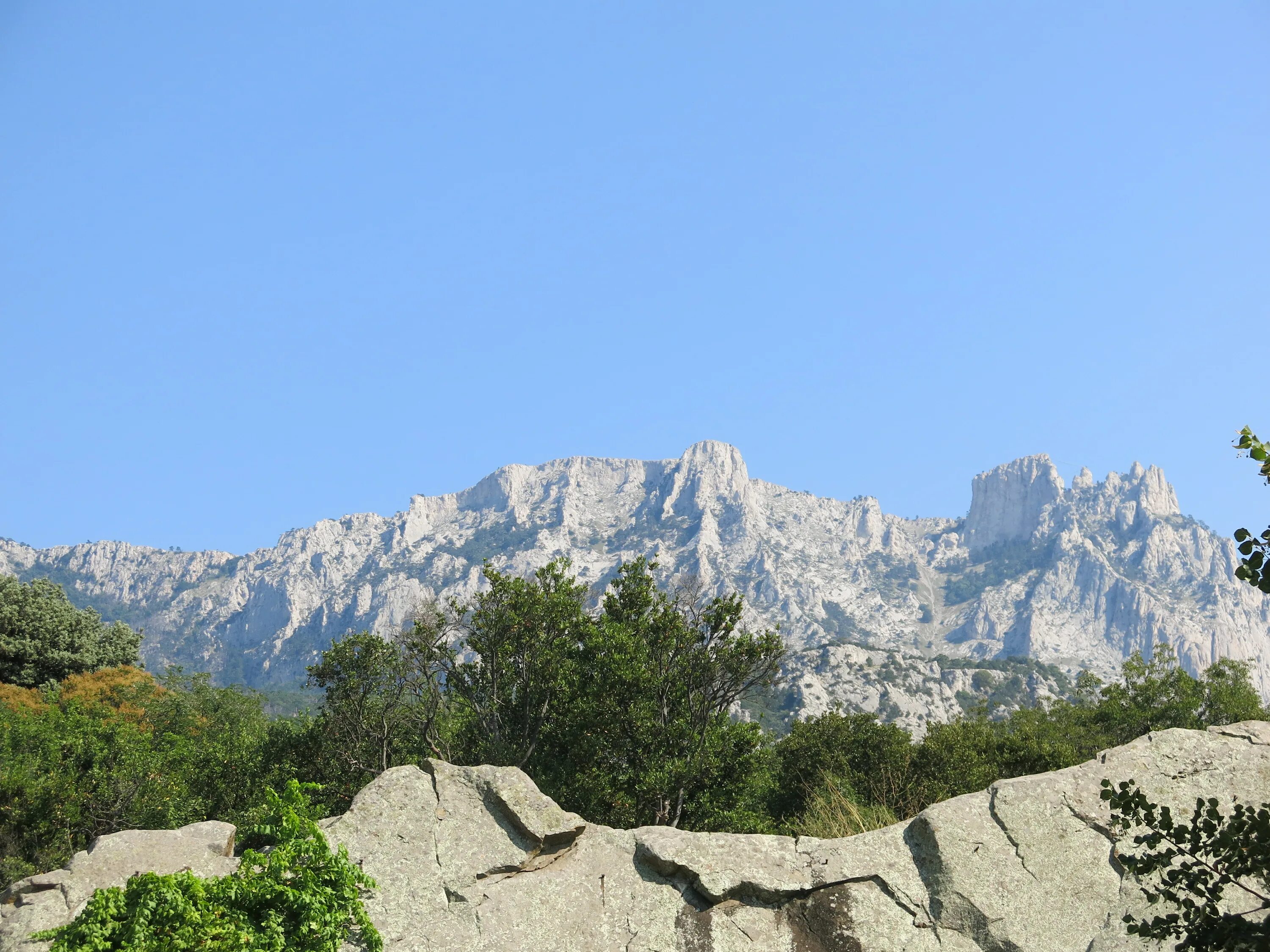 Антиклинорий горный Крым. Высокая гора в Крыму. Самая большая гора в Крыму. Самая высокая точка Крыма над уровнем.