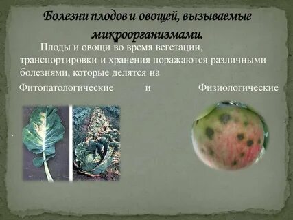 Болезни плодов