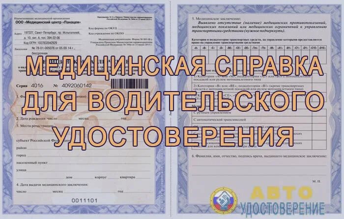 Бланк 003 в у