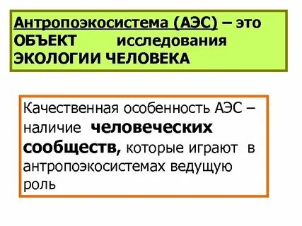 Сообщение на тему человек и окружающая среда