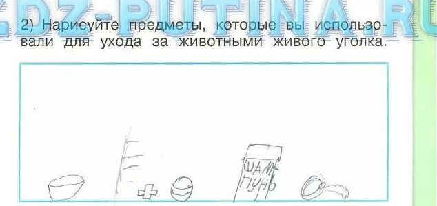 Нарисуйте предметы для ухода за животными живого уголка. Предметы для ухода за животными живого уголка. Предметы для ухода за животными живого уголка окружающий. Предметы для ухода за животными. Предметы для ухода за животными живого уголка 1.
