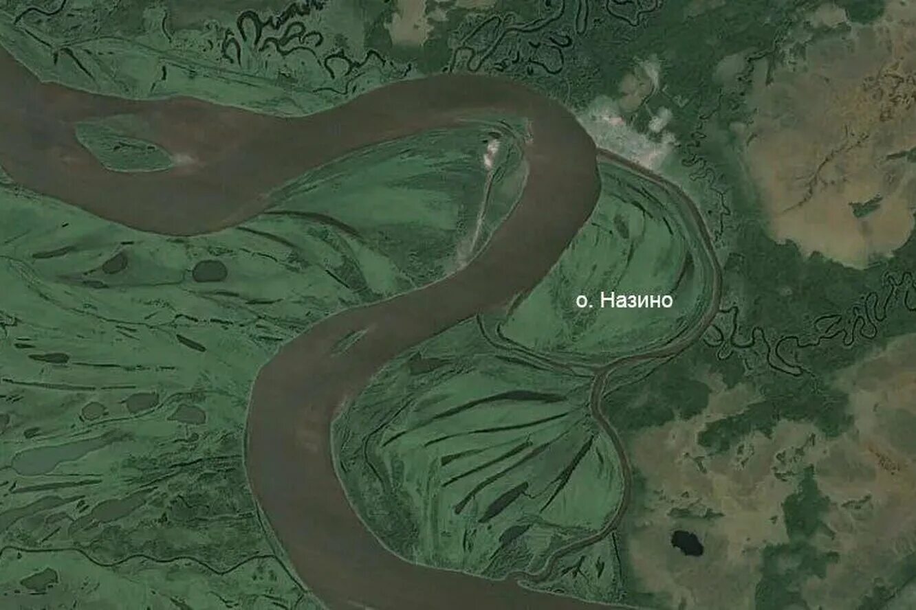 Назино томская. Остров назино томская область. остров людоедов назино на оби. остров назино в 1933.