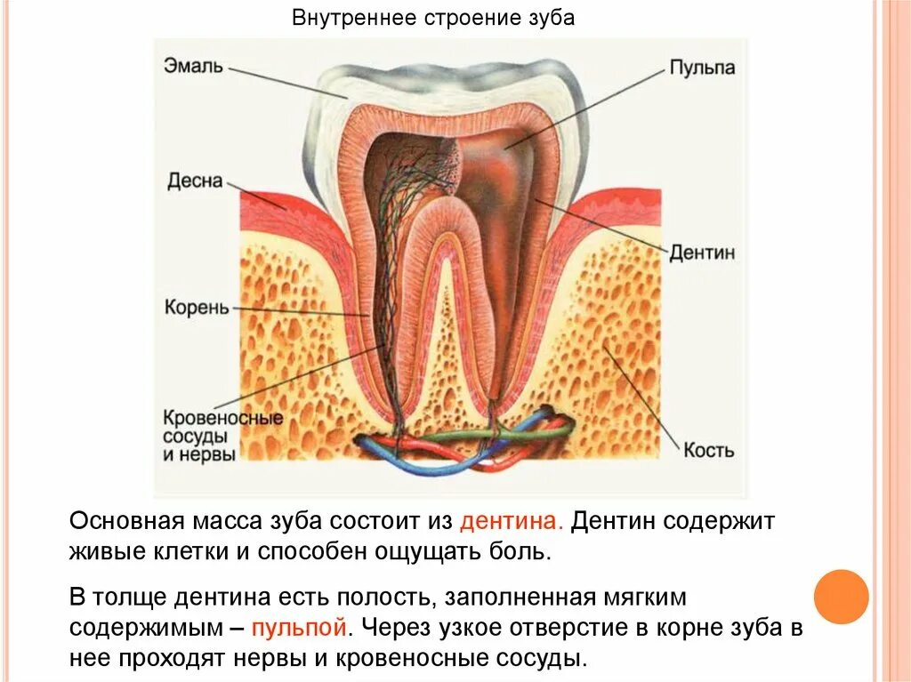 Следующее строение