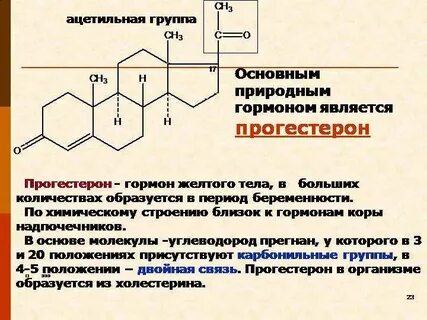 Прогестерон женском организме