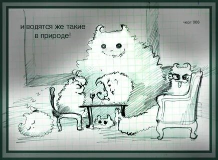 В тихом омуте черти водятся значение пример