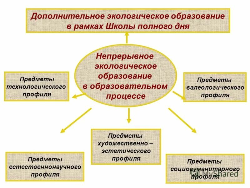 Непрерывное экологическое образование. Экологизация образования. Этапы экологического образования.