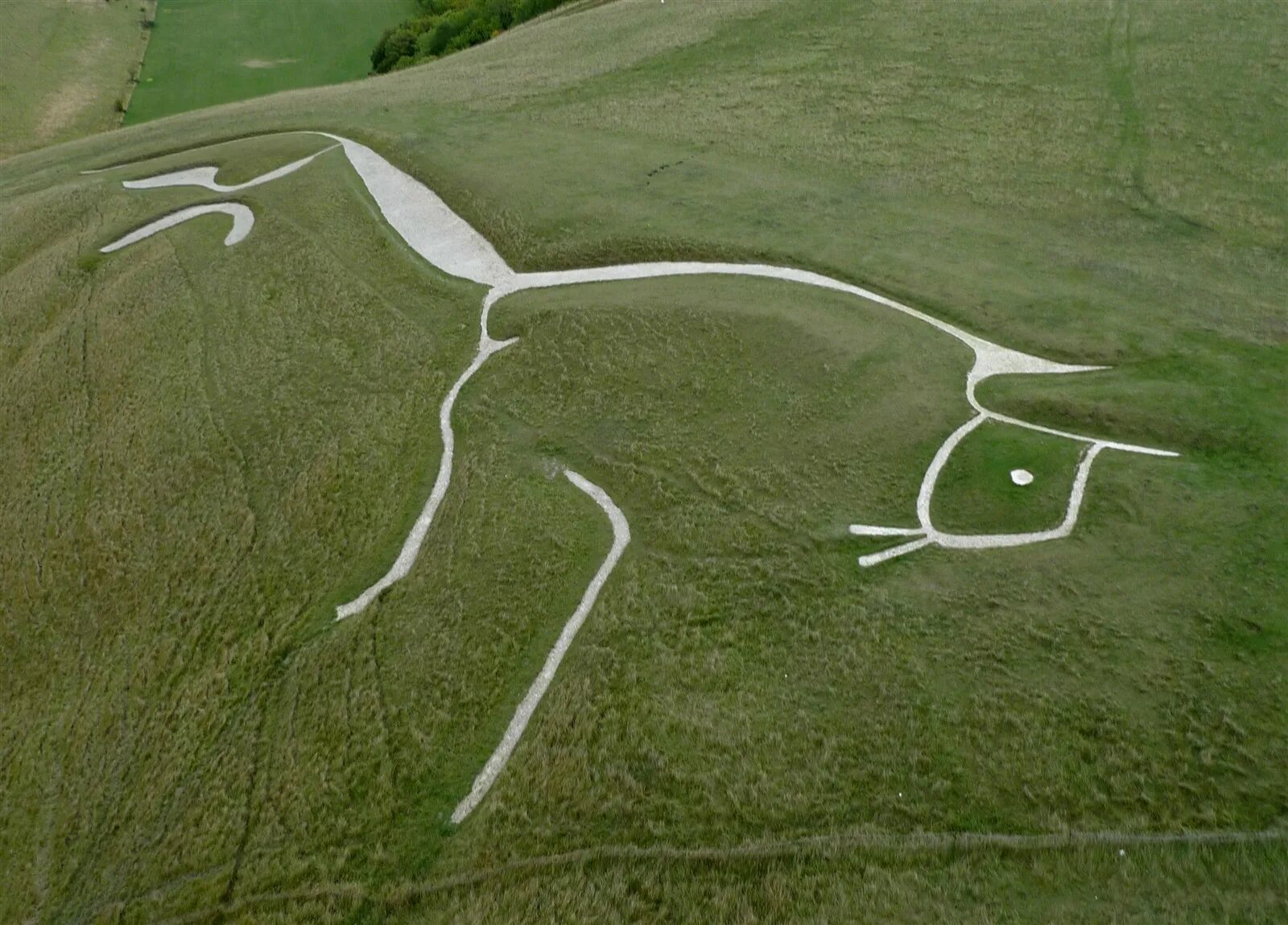 Говорящий холм. Уффингтонская белая лошадь в Англии. Геоглифы Уффингтонская лошадь. Геоглиф Уффингтонская белая лошадь. Белая лошадь Англия геоглиф.