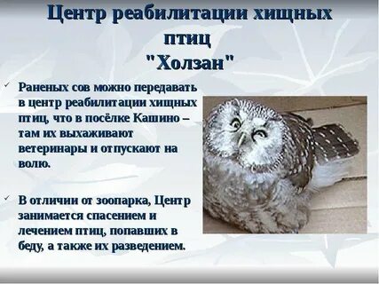 Центр птиц