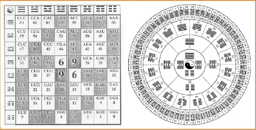 Гороскоп книга перемен. 64 Гексаграммы и-Цзин. 64 Гексаграммы книги перемен. Таблица гексаграмм «и-Цзин». Гексаграмма и Цзин триграмма.