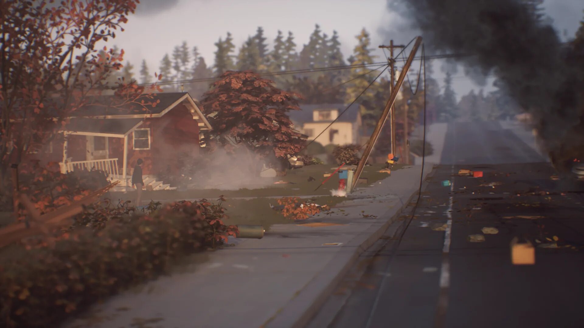 Life in strange 2. Life is Strange 2. Life is Strange 2 фон. Life is Strange 2 screenshots. Лайф ИС Стрендж 2 лес.