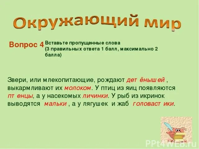 На какие вопросы отвечают слова предметы. Вопрос к слову звери. Животные слова. Тварь текст. Упражнения по русскому языку 1 класс.