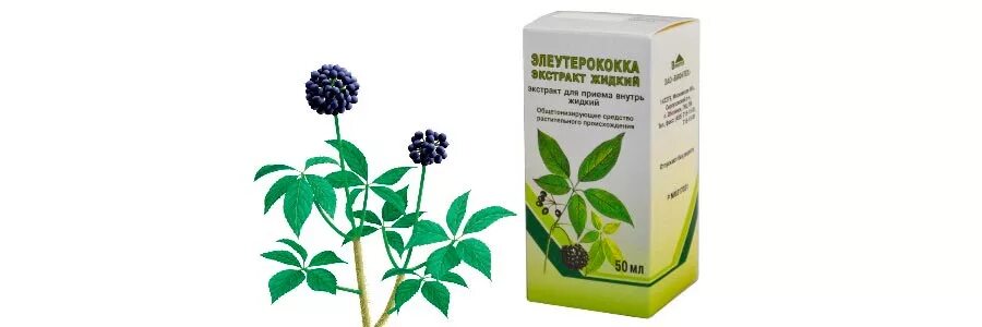 Биотерра, женьшень + элеутерококк. Адаптогены элеутерококк. Элеутерококк капли. Женьшень левзея элеутерококк. Родиола женьшень лимонник элеутерококк левзея.