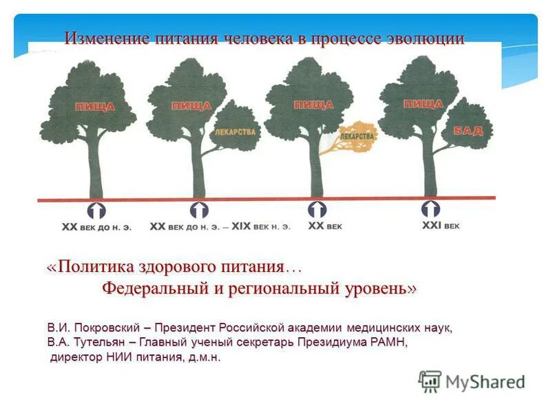 Пищеварение в тонком и толстом кишечнике кратко. Как изменяется пища. Диета при сердечной сосудистой системы. Как изменяется пища. Пищеварение в кишечнике кратко.