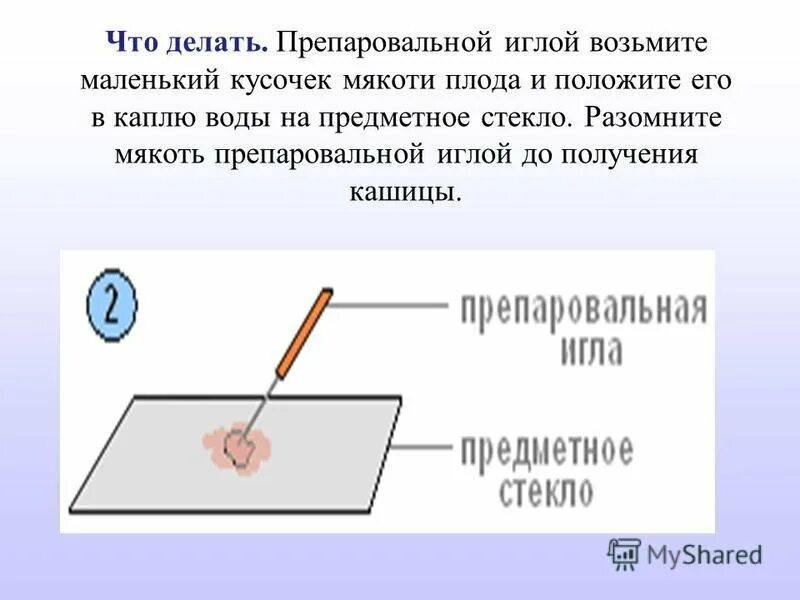 4 препаровальная игла. Предметные стекла, препаровальные иглы. Препаровальная игла игла. Пипетка и предметное стекло. Капля воды на предметное стекло.