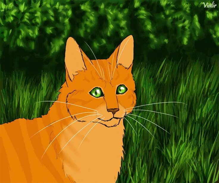 Огнегрив из котов воителей как выглядит Firestar/Gallery Warrio Wiki Fandom