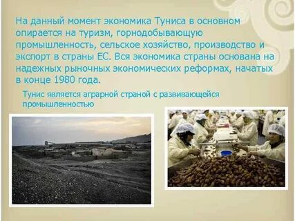 Экономика туниса