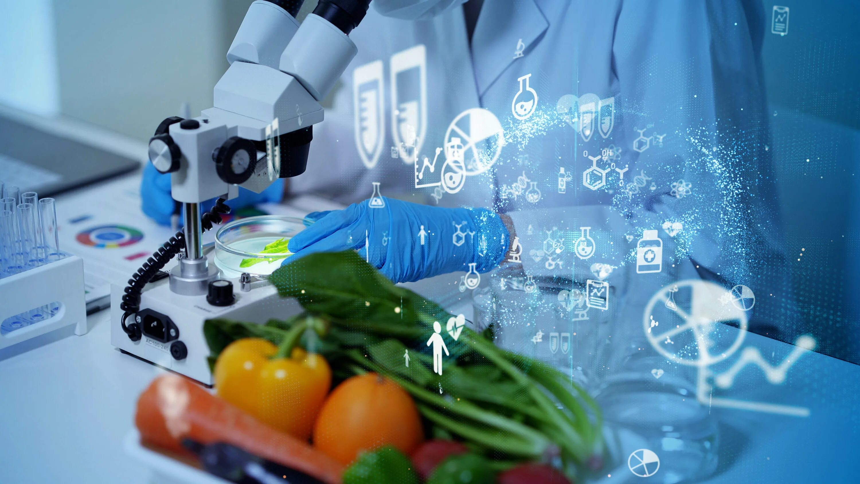 Биотехнологии в промышленности. Биотехнология пищевых продуктов. Биотехнологии в пищевой промышленности. Пищевая биотехнология. Новая технология пищевой промышленности