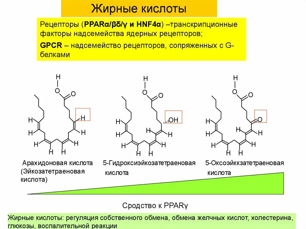 Холестерин желчных кислот. Структура жирных кислот. желчные кислоты и холестерин. низкомолекулярные жирные кислоты. образование жирных кислот из холестерина.