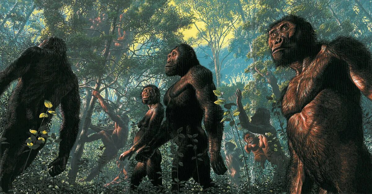 Ранние предки людей. Австралопитеки. Австралопитек Южная обезьяна. Древний человек австралопитек. Австралопитеки предки человека.