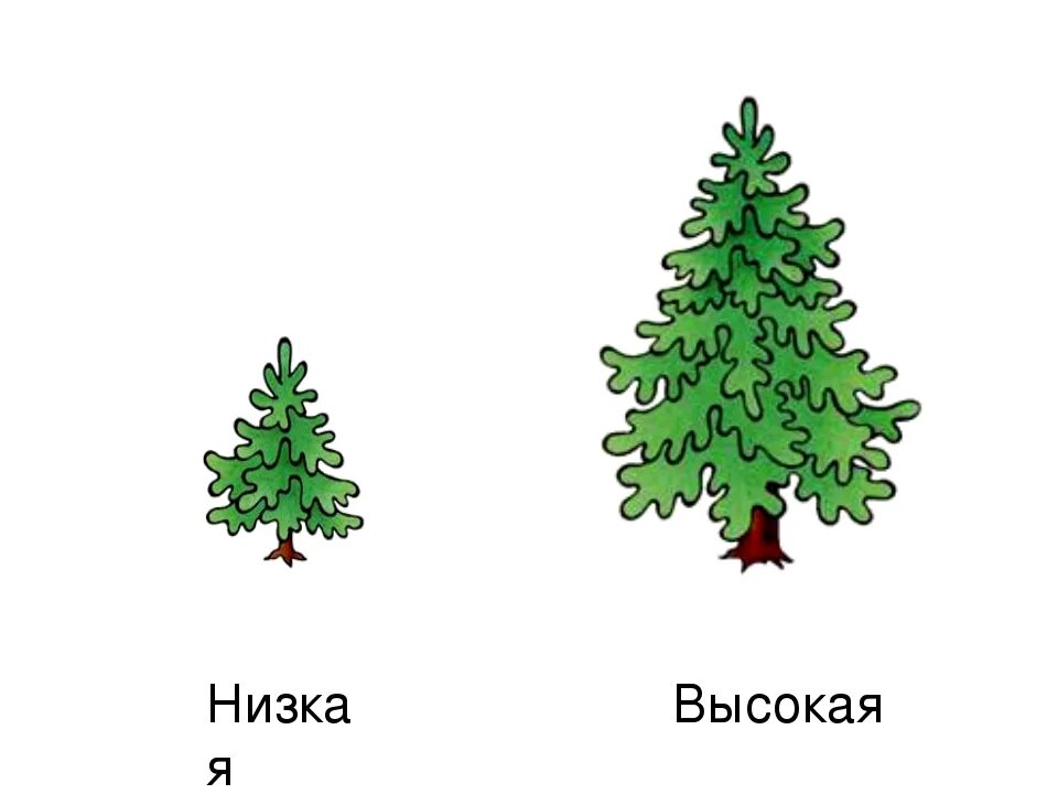 Высокий низкий для детей. Высокий - низкий. Елочки большие и маленькие. Маленькая и большая елка для детей.