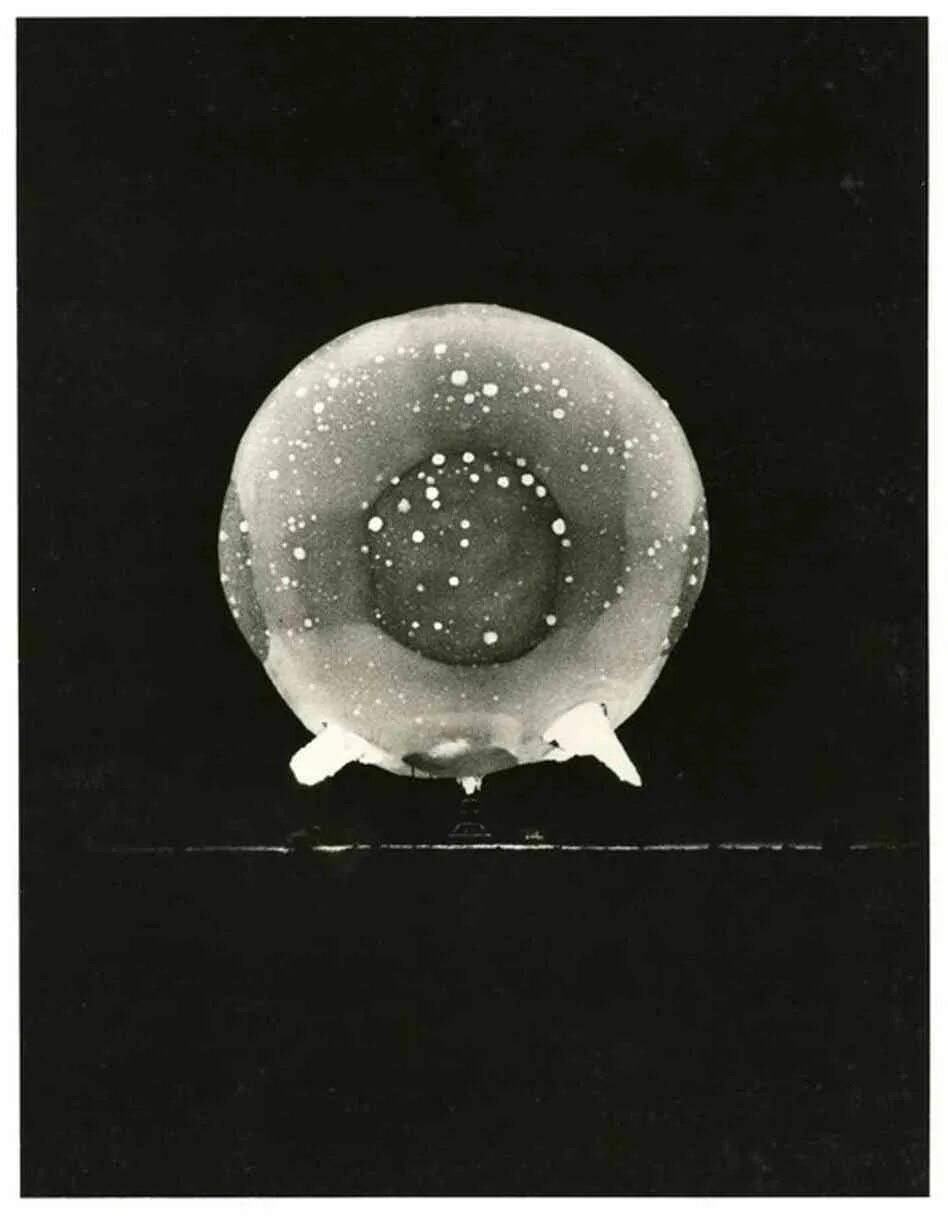 Рыба массового поражения. Первые миллисекунды ядерного взрыва. Rapatronic снимок ядерного взрыва 1952. Огненный шар ядерного взрыва. Ядерный взрыв шар.