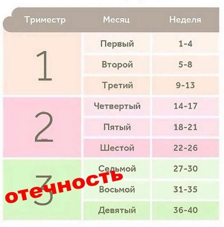 30 неделя беременности месяц. Тримесры беременности по недеоя. триместры беременности. триместры по неделям. триместры беременности по месяцам и неделям.