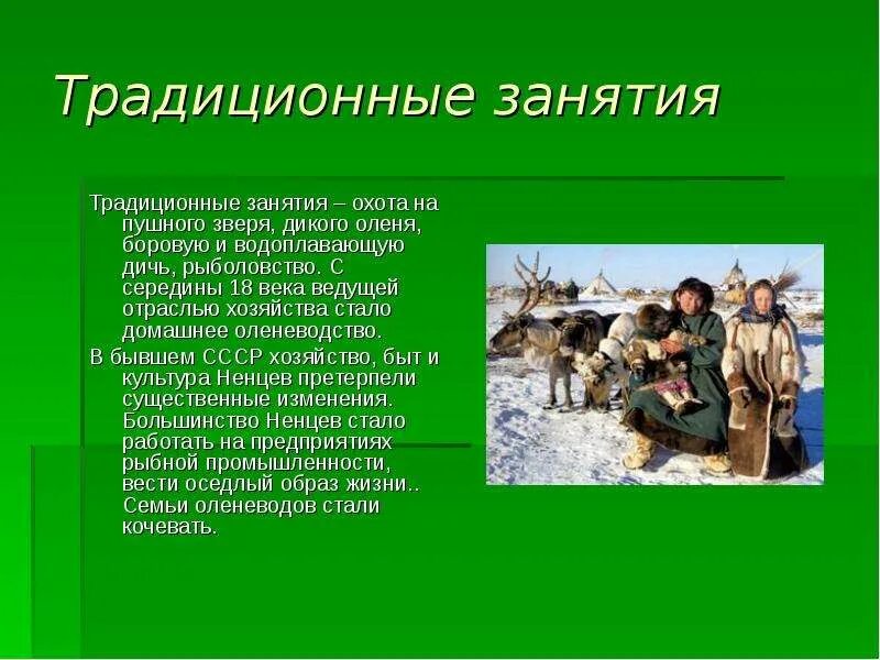 Охота у разных народов. Традиционные занятия ненцев в Сибири. Традиционные занятия. Промысловая охота у разных народов. Промысловая охота у разных народов сообщение