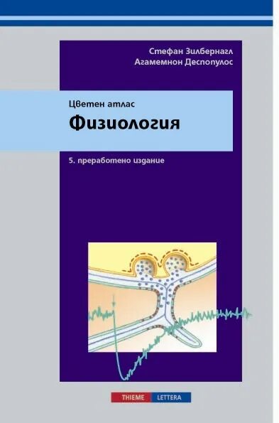 Атлас человека аст. , киселева и. , киселева и. - атлас по физиологии. Физиология человека атлас.