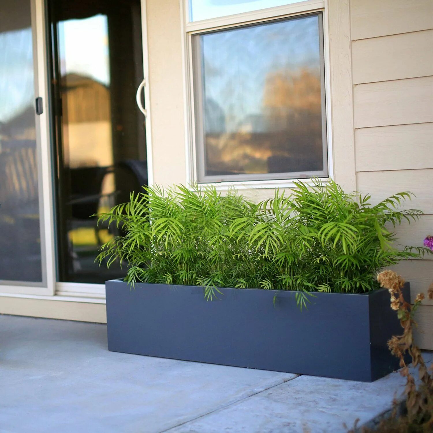 Декоративные растения в больших горшках для балкона. Long Planter Box Indoor. Декоративной рейкой Planter profile. Декоративная травка на балкон в ящиках название. Lower plants