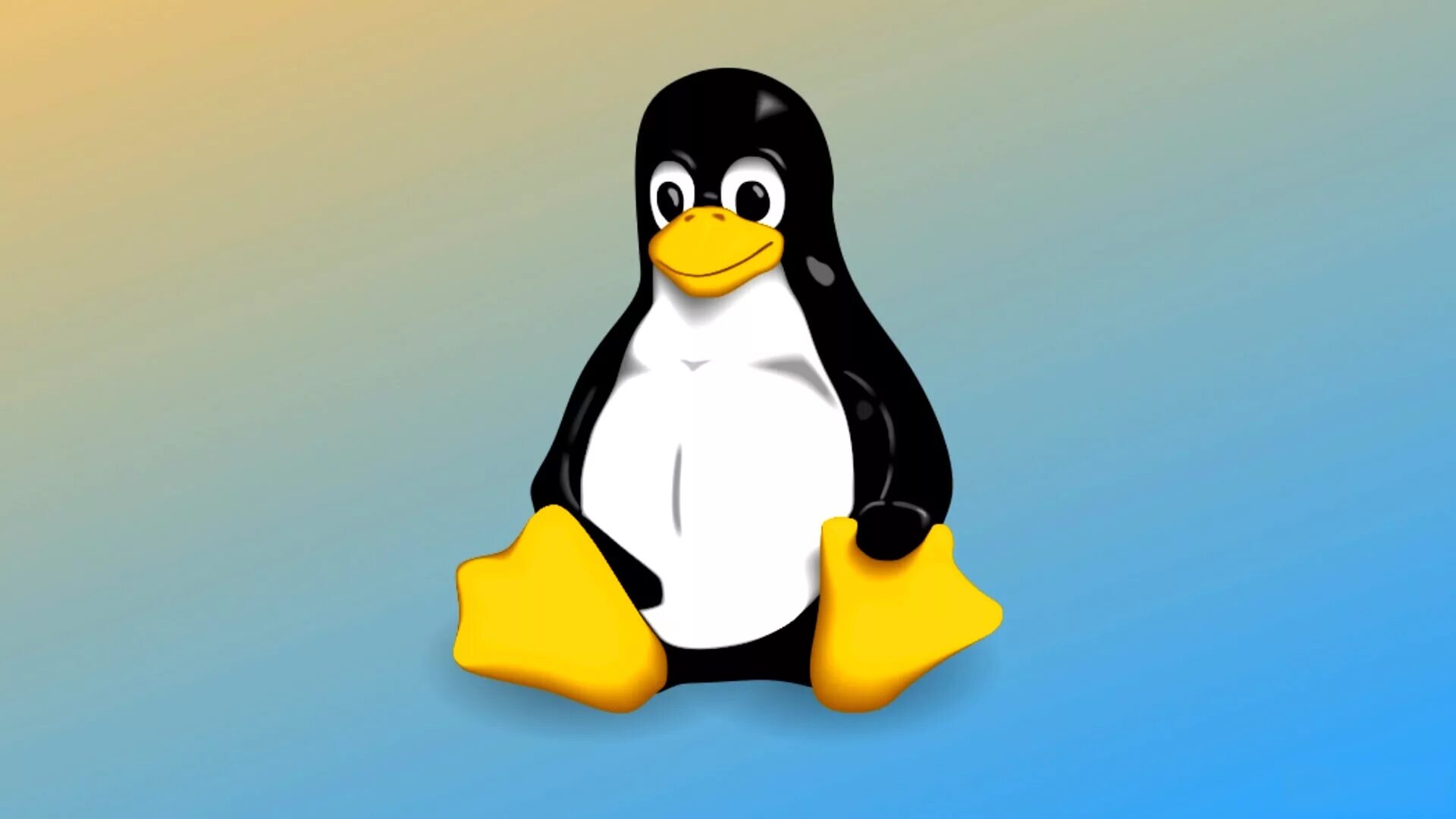 16. Линус торвальдс обои. Проблема linux v'v. Linux пингвин tux. Пингвин линукс.