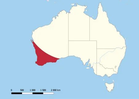 Суонленд - Википедия