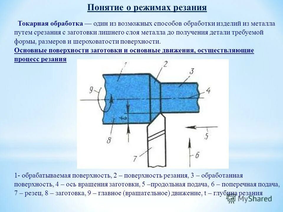 Форма нарезки корнеплодов таблица. Сложные формы нарезки моркови. Пф из котлетной массы рыбы. Формы нарезки свеклы. Форма нарезки луковых овощей таблица колечки.