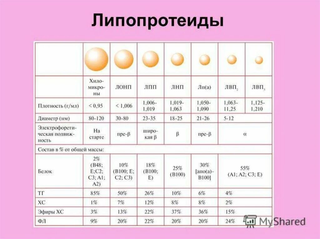 Определение липопротеинов высокой плотности лпвп альфа норма. Бета липопротеиды норма. Бета липопротеиды норма у детей. Нормы липопротеидов в крови. B липопротеиды норма у детей.