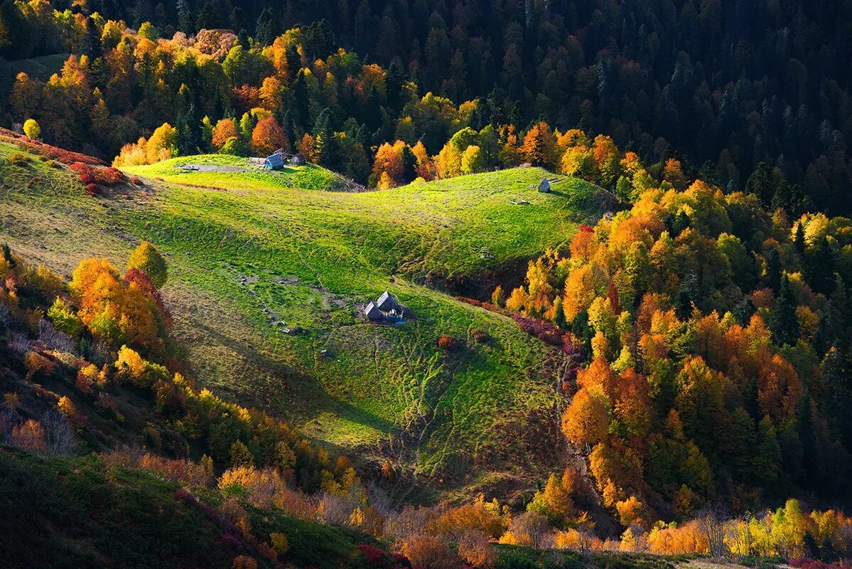 Самая живописная природа в россии. Сочинский национальный парк осень. Сочинский национальный парк пейзаж. Осень в горах. Горы осенью.