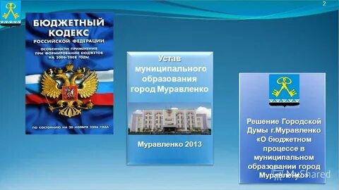 1 устав муниципального образования