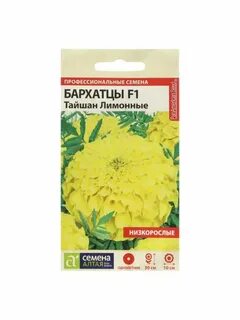 Семена алтая дзен