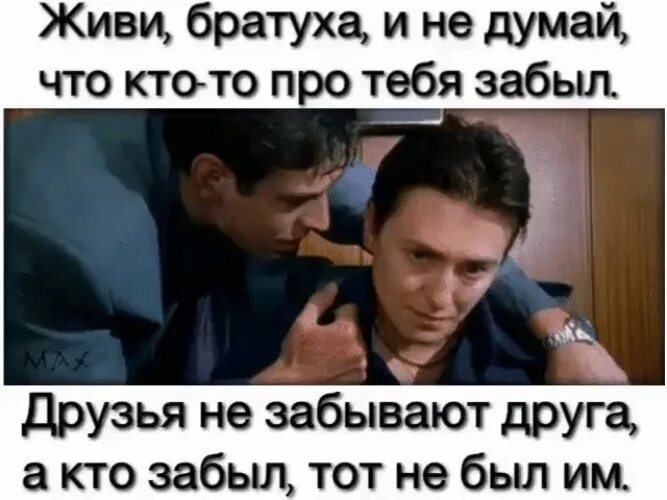 Где живет мой брат. Н. Где живет мой брат. Брат мем. Сказка чудесные лапоточки.