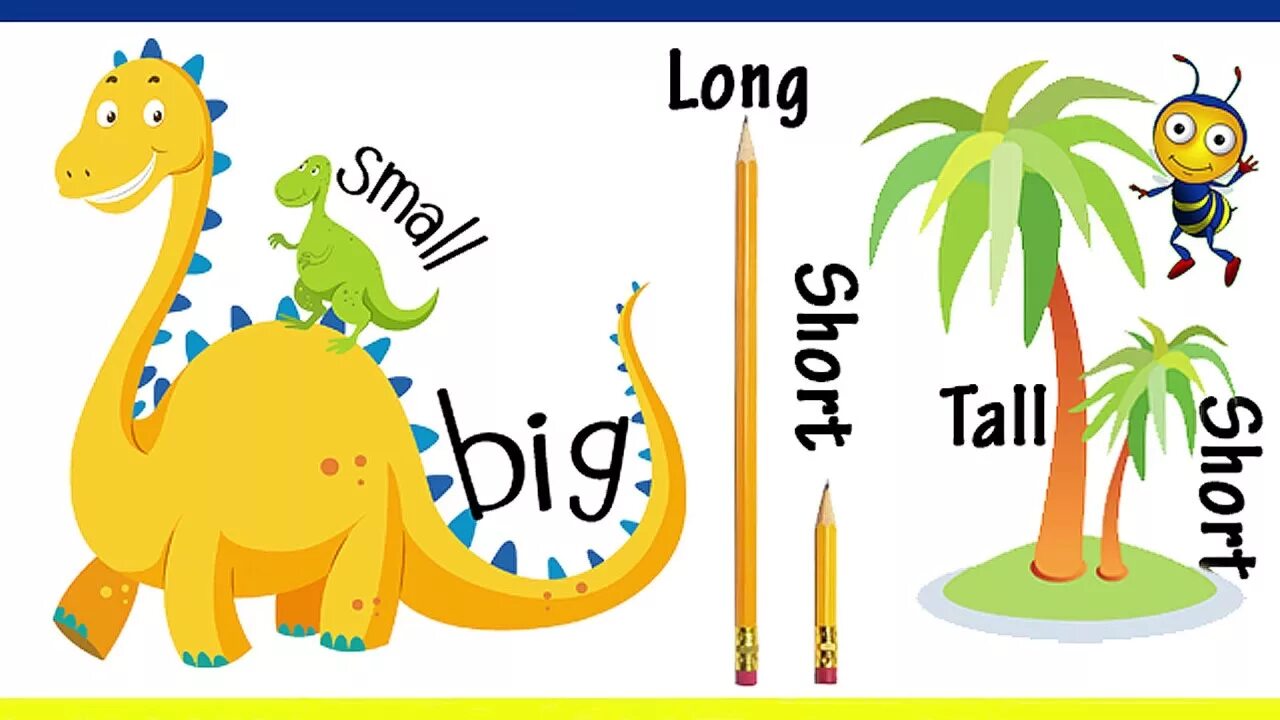 Big small long short. Длинный for Kids. Big and small Tall short long. Карточки opposites. Thin adjective