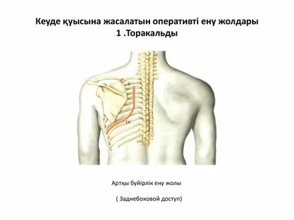 Екінші дүниежүзілік соғыс порно