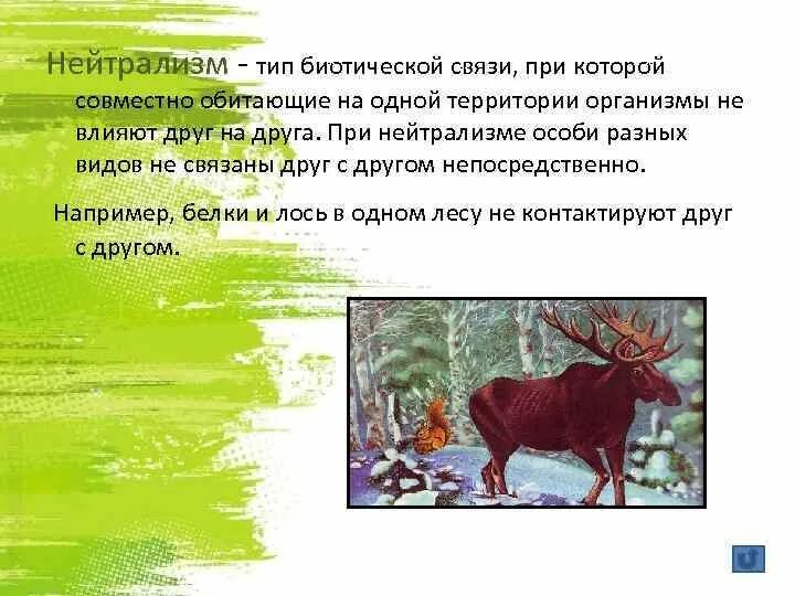Примером нейтрализма являются отношения между Примеры нейтральных отношений между организмами