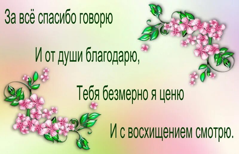 Спасибо достаточно