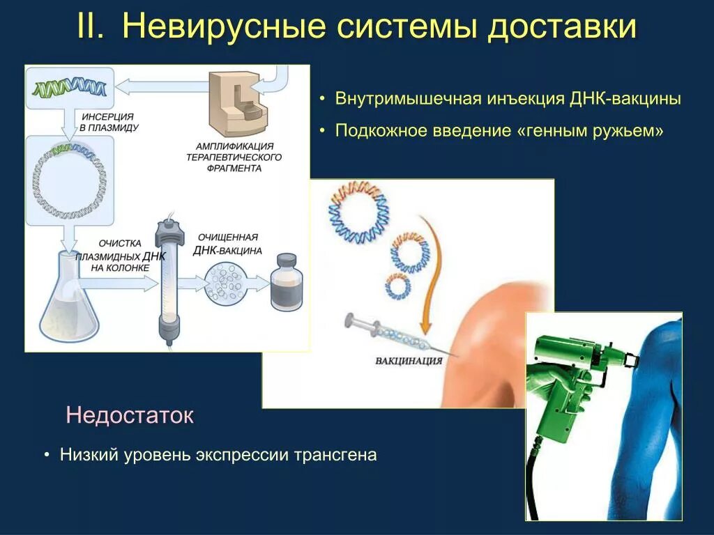 Методы введения днк. ДНК-вакцина. Генные вакцины. Внутримышечная инъекция вакцины. Невирусные системы доставки.