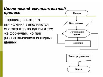 Приведите примеры процессов развития