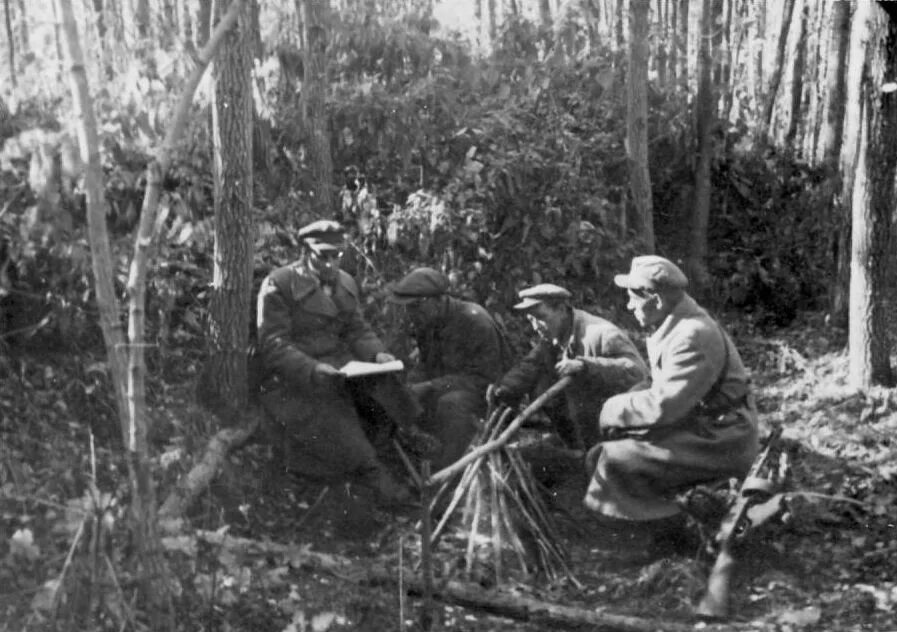 Партизанская борьба в годы великой отечественной войны. Микояновский Партизанский отряд Белгород. Партизанские отряды шебекининский. Партизаны подпольщики в годы Великой Отечественной войны. Партизанское движение в Белгородской области в годы.