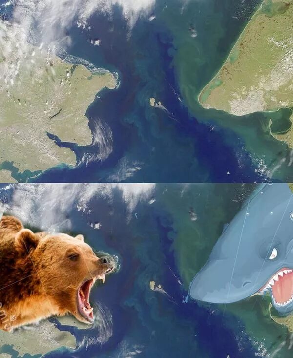 Пролив Чукотка Аляска. Берингов пролив между Россией и США. Берингов пролив медведь и акула. Граница России и США В Беринговом проливе.